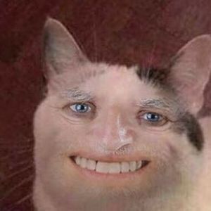 Meet your Posher, Mercy